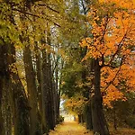 Dom Na Mazurach Pilec