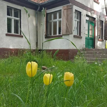 Отель типа 