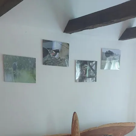 住宿加早餐酒店 Dom Na Mazurach Pilec