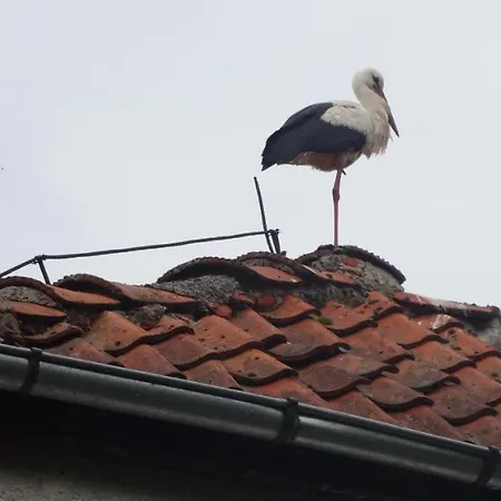 Dom Na Mazurach Panzió