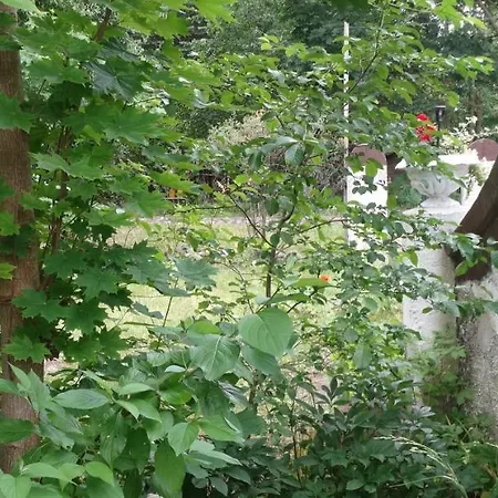 Dom Na Mazurach 住宿加早餐酒店 Pilec