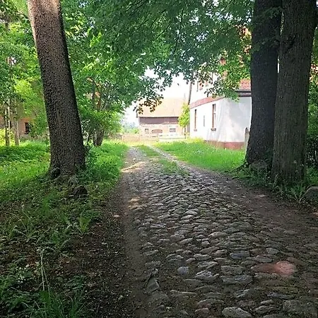 Dom Na Mazurach 3* Pilec