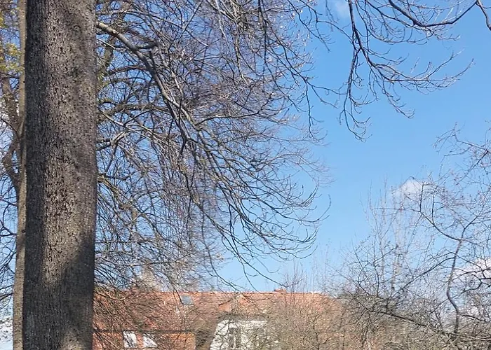 Bed and Breakfast Dom Na Mazurach Pilec