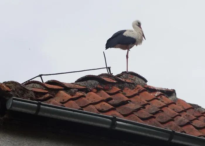 Dom Na Mazurach Bed and Breakfast