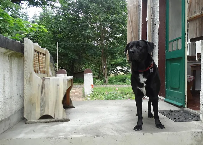 Bed and Breakfast Dom Na Mazurach 3*