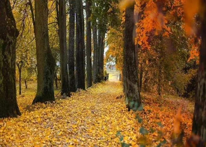 Dom Na Mazurach Bed and Breakfast