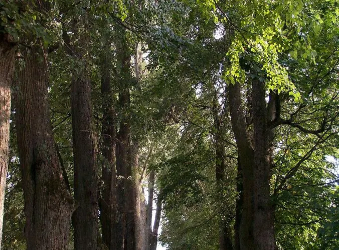 Bed and Breakfast Dom Na Mazurach Pilec